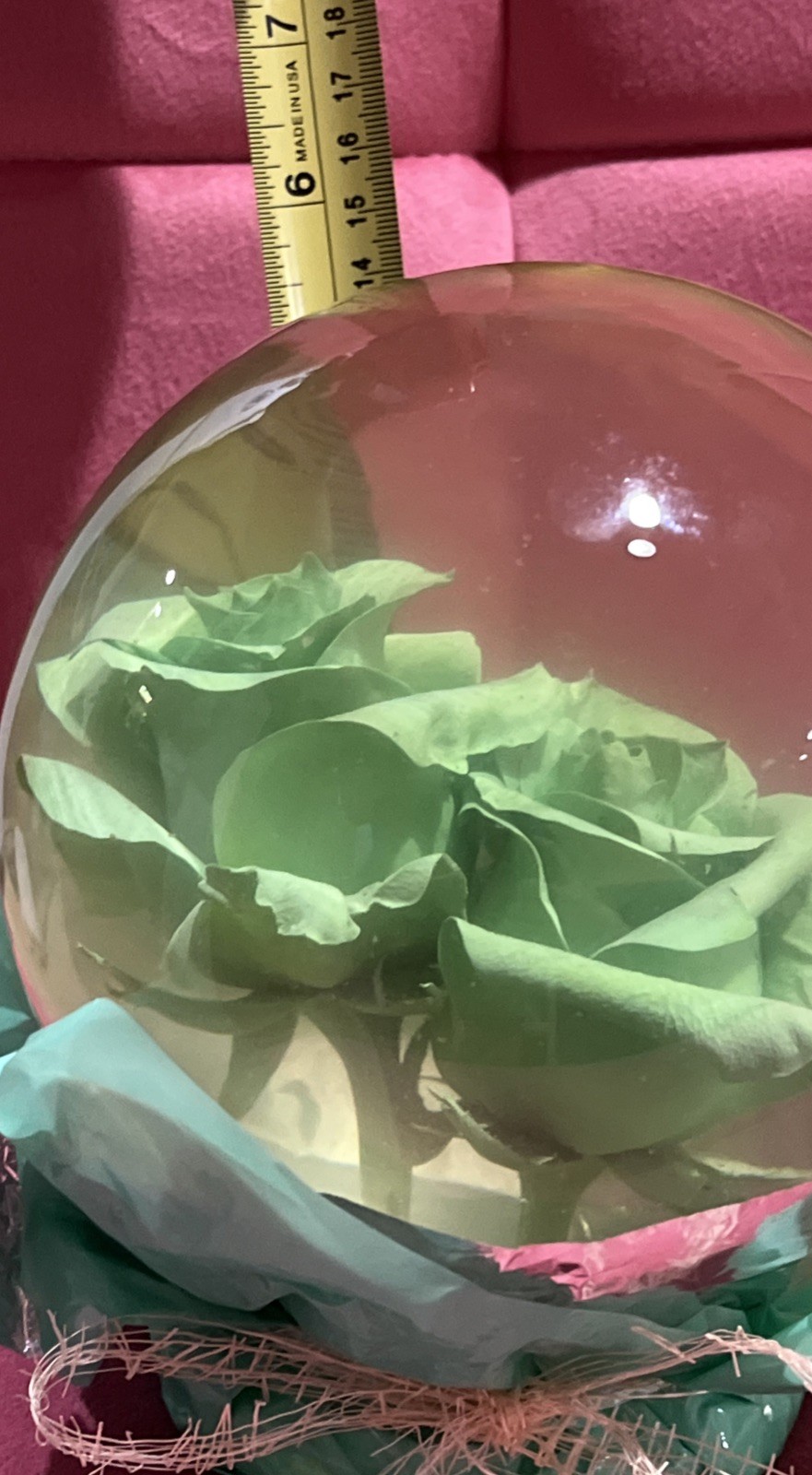 Vtg. Green Eternal Rose Real Preserved Rose Ball In Water Dome/Globe; Lg 6”-7”