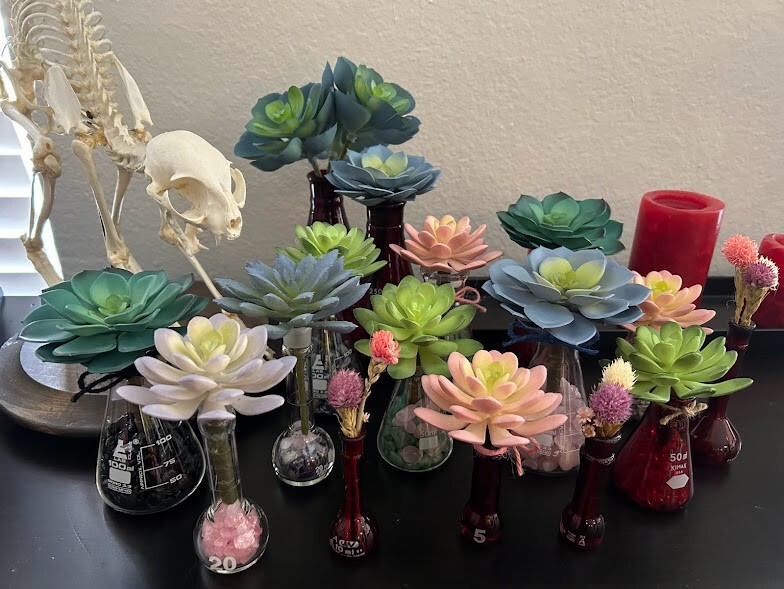 Artificial Potted Succulent Flower Fake Plant Aeonium Science Decoration Gift 
