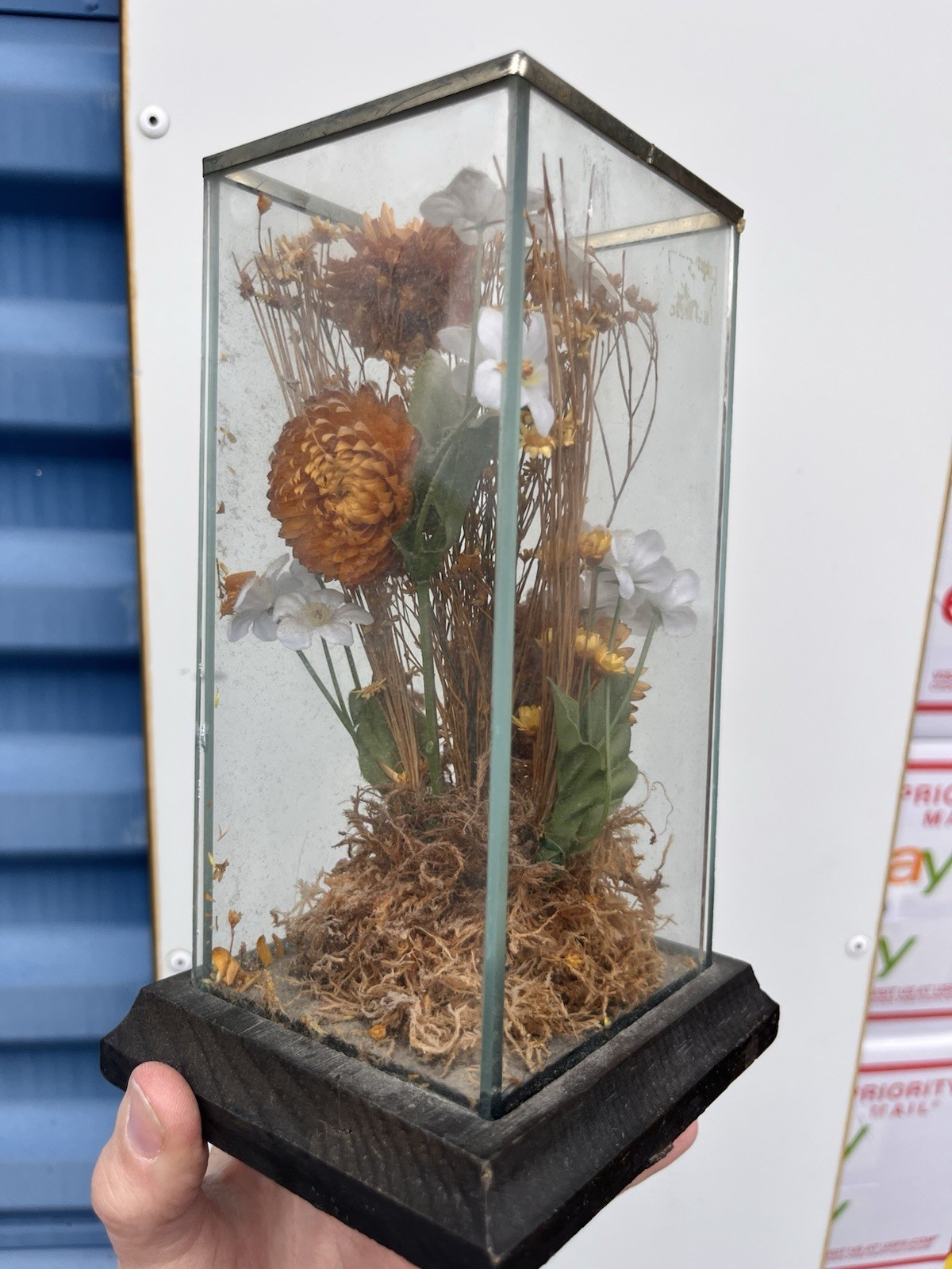 Vintage Dried Floral Terrarium Wood Display Case Boho Whimsy Leonard Creations