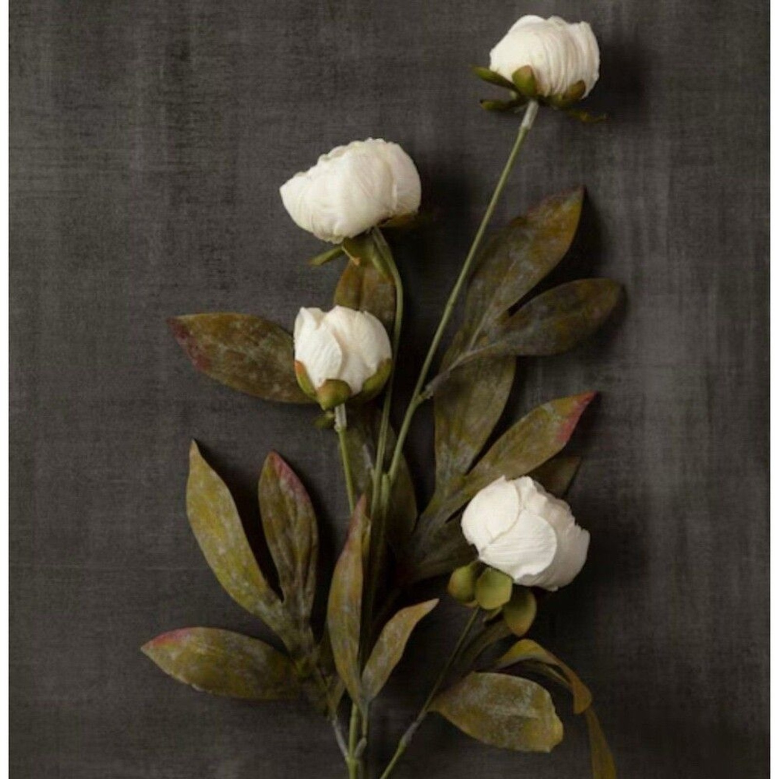 Viral Ashland Cream Peony Stem Michael’s- Set of 5