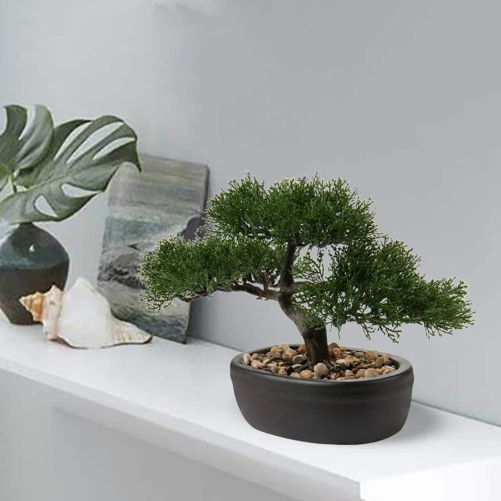 Indoor Mini Bonsai Tree with Ceramic Pot^-“