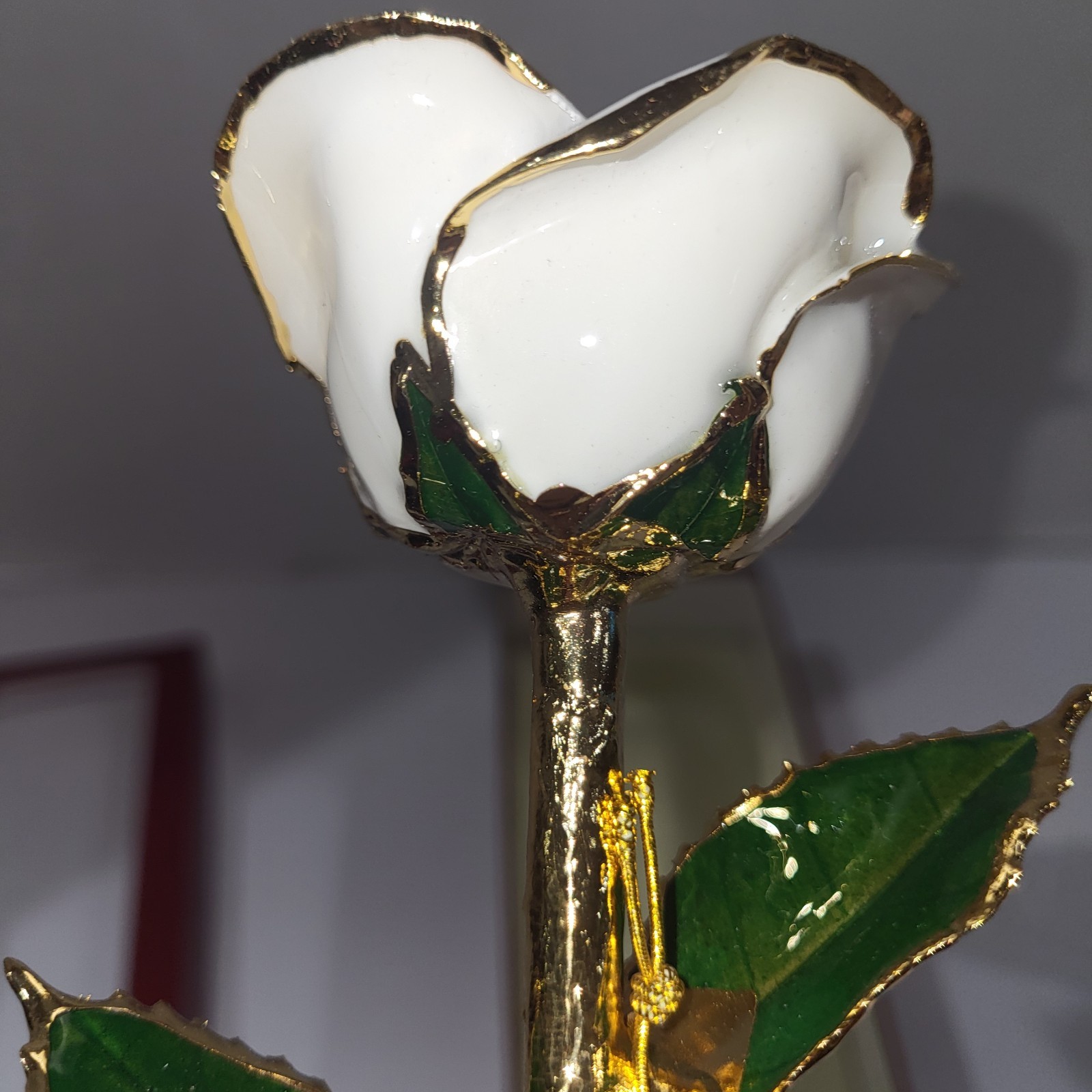Living Gold Real Rose Dipped In 24K Gold White Boxed Vintage With Certificate