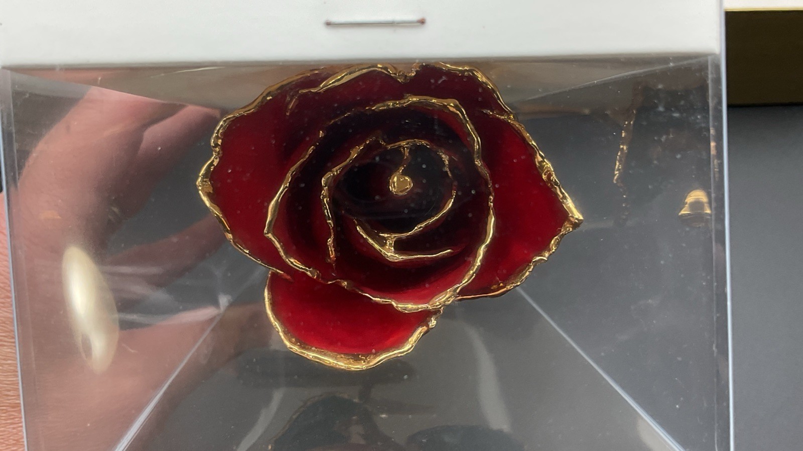 Real Rose Preserved in 24K Gold – 11” Inch – Red Rose