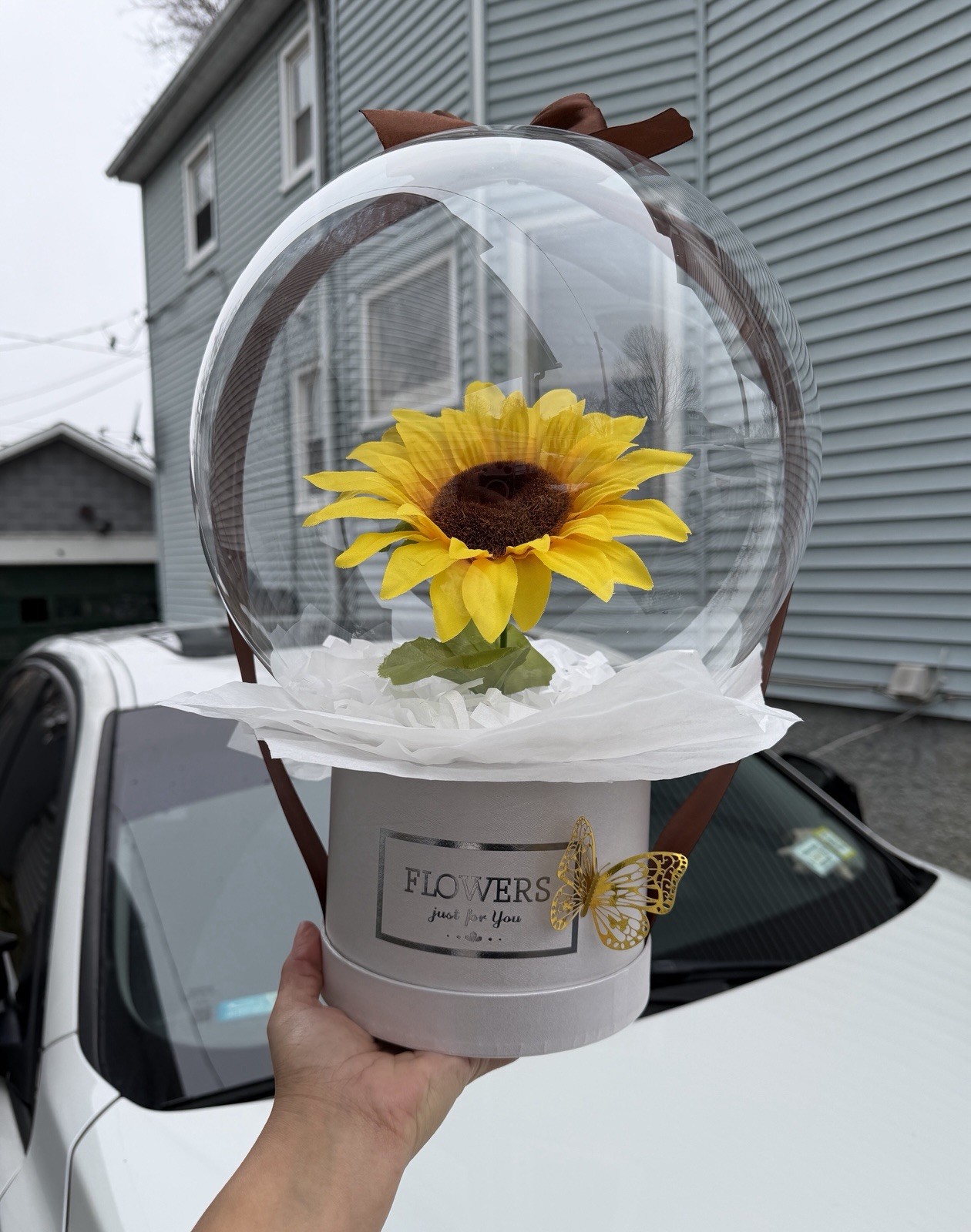 Sunflower in bubble balloon
