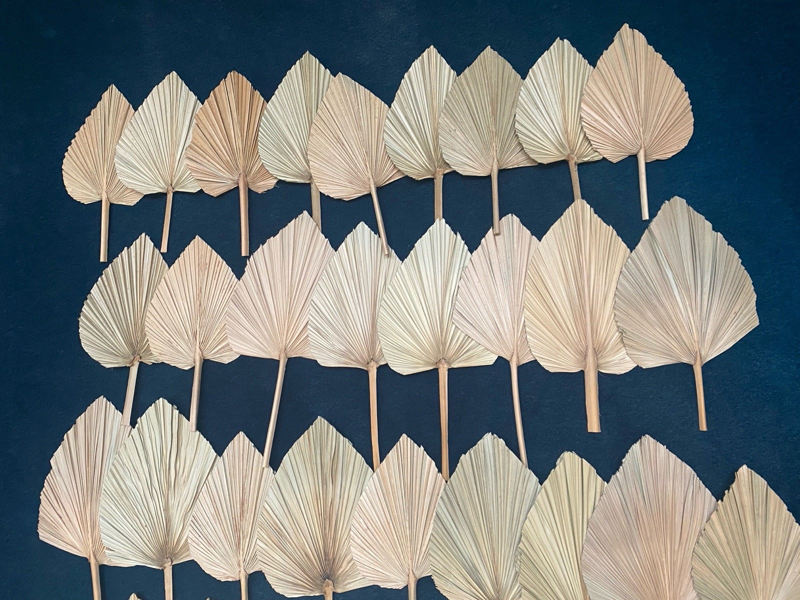 Lot Of 72 Dry Palm Leaves Natural Home Wedding Decor Boho, 42 Large, 30 Small