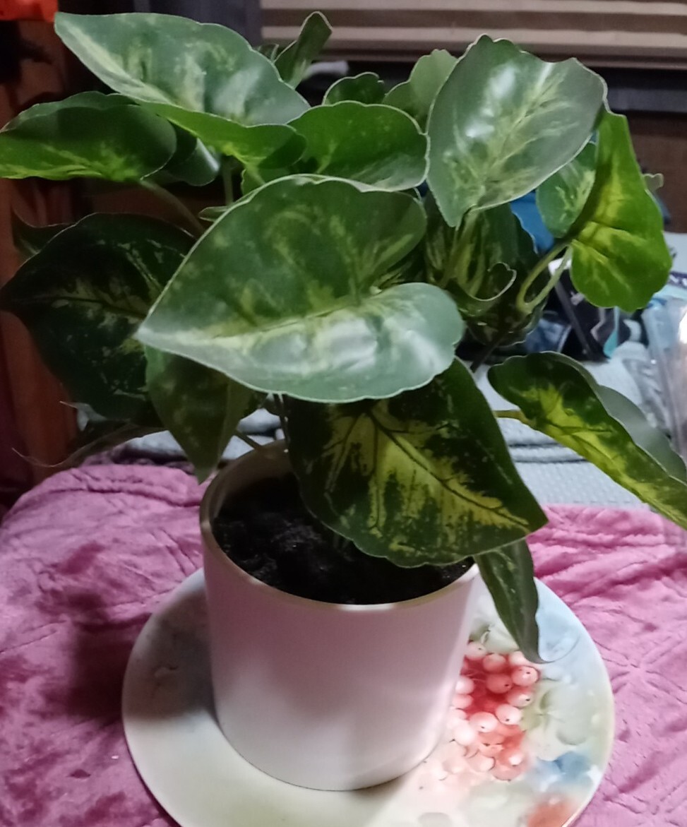 Project 62 Retired Faux Fake Ivy In A White Ceramic Planter New 9″ Tall New