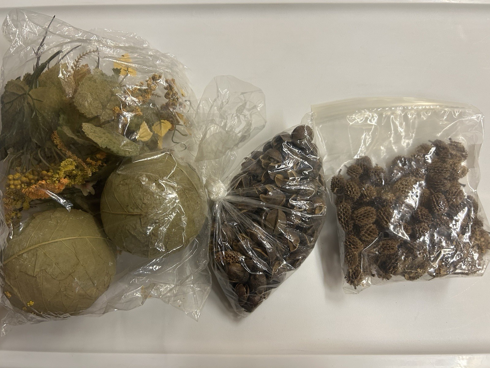 Natural Home Decor: Bakuli Pods, Casuarina Cones, Leaf Spheres 5”, Greens