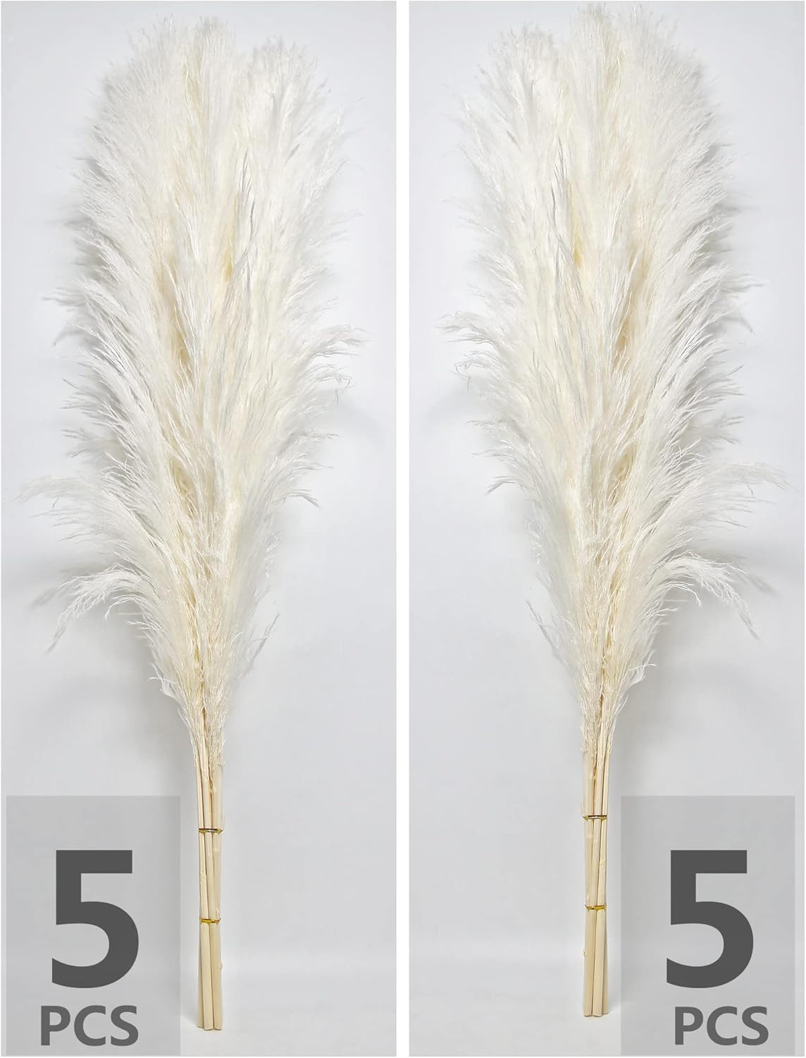 10 Stems 46″ Inch White Pampas Grass Decor Tall, Large Pompas Grass, Boho Neutra