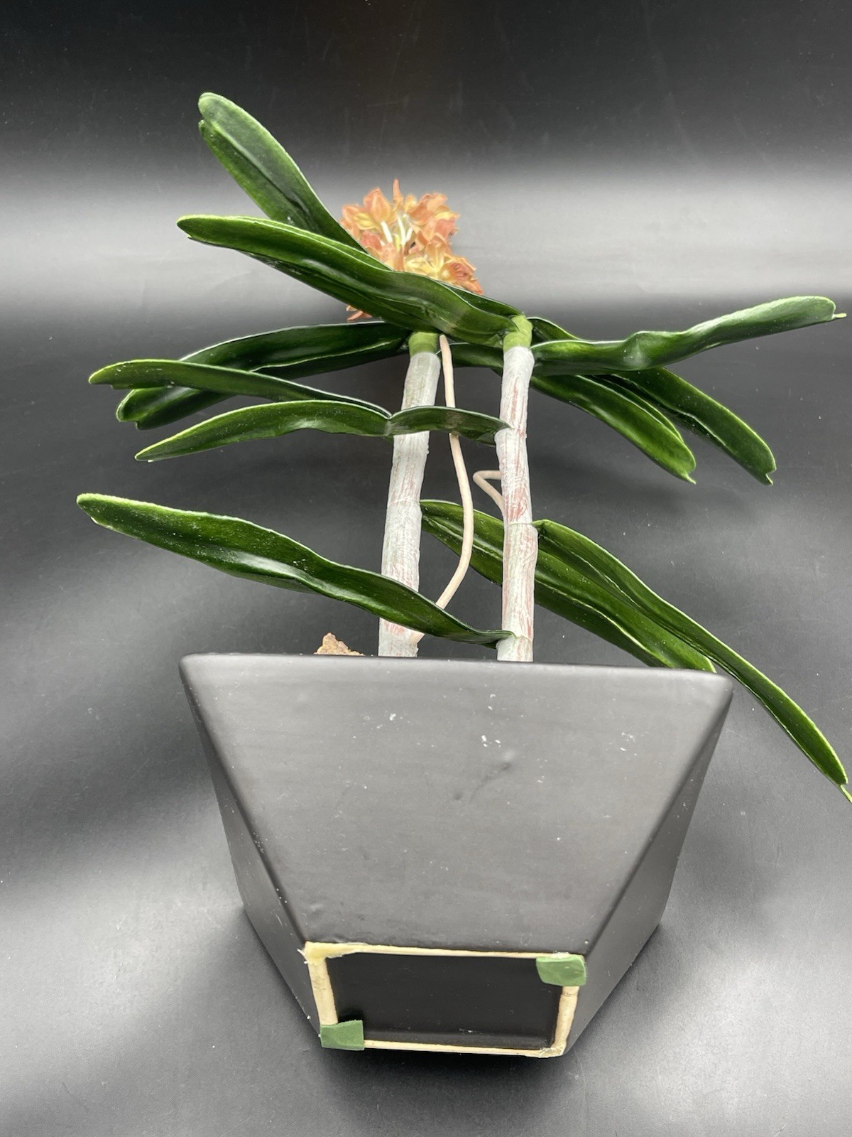 19″ Faux Orange Orchid Green Leaves Roots in Black Ceramic Pot