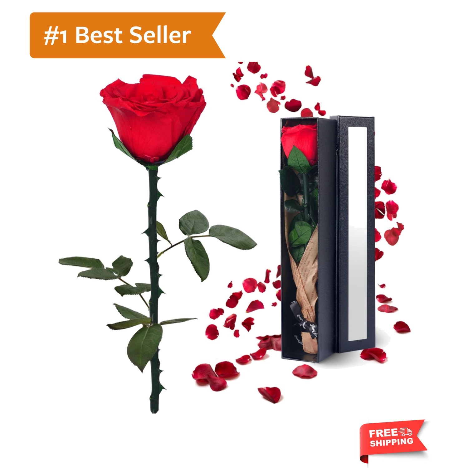 Preserved Flowers Gifts for Women: Valentines Day Mothers Day Birthday Christ…