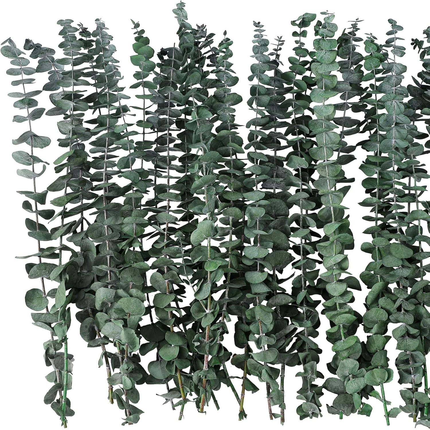 20 Pcs Dried Eucalyptus Stems 17″ Real Eucalyptus for Shower Hanging 100% Mad…