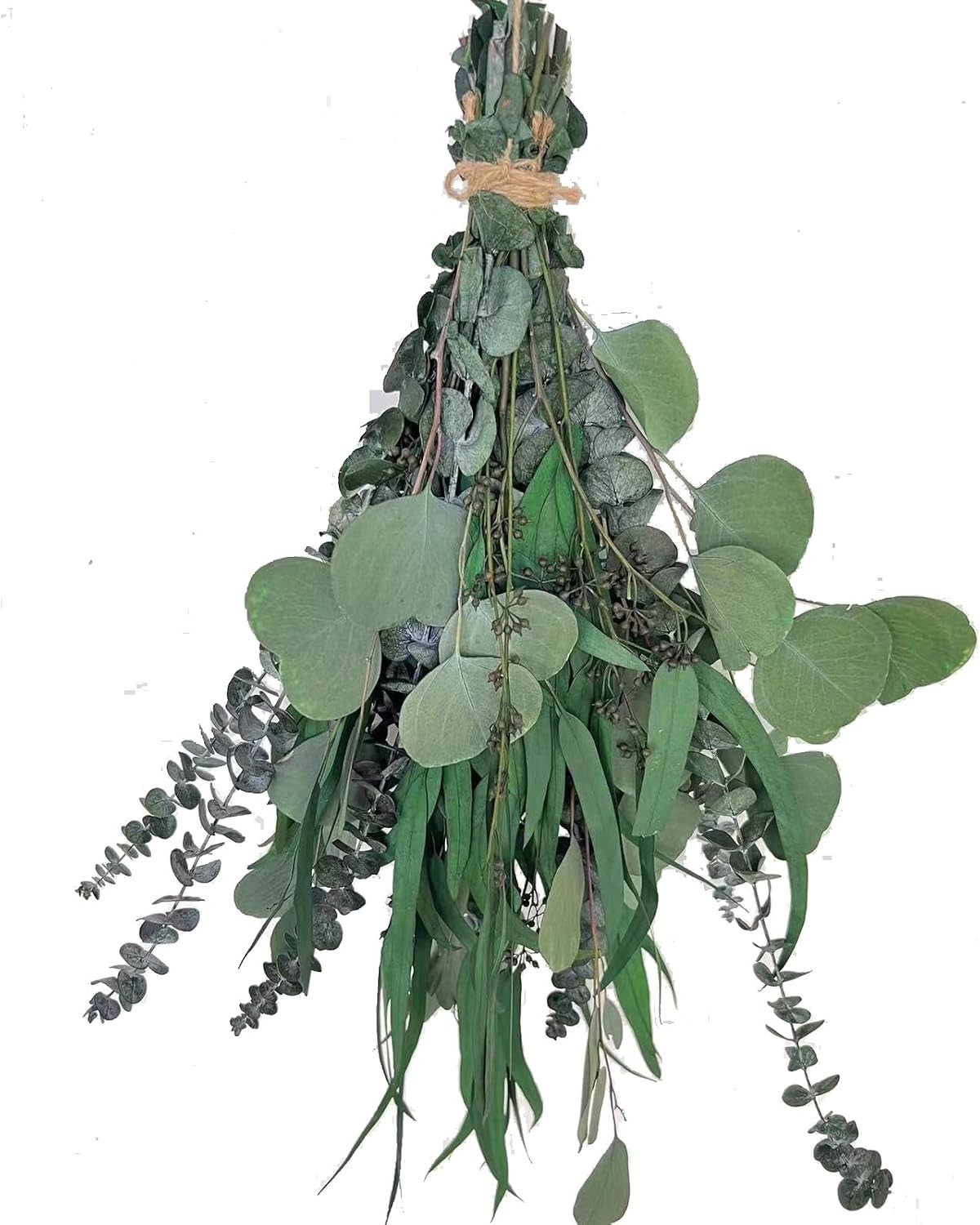 22 PCS Dried Eucalyptus for Shower Bundle, 17” Real Large Preserved Eucalypt…