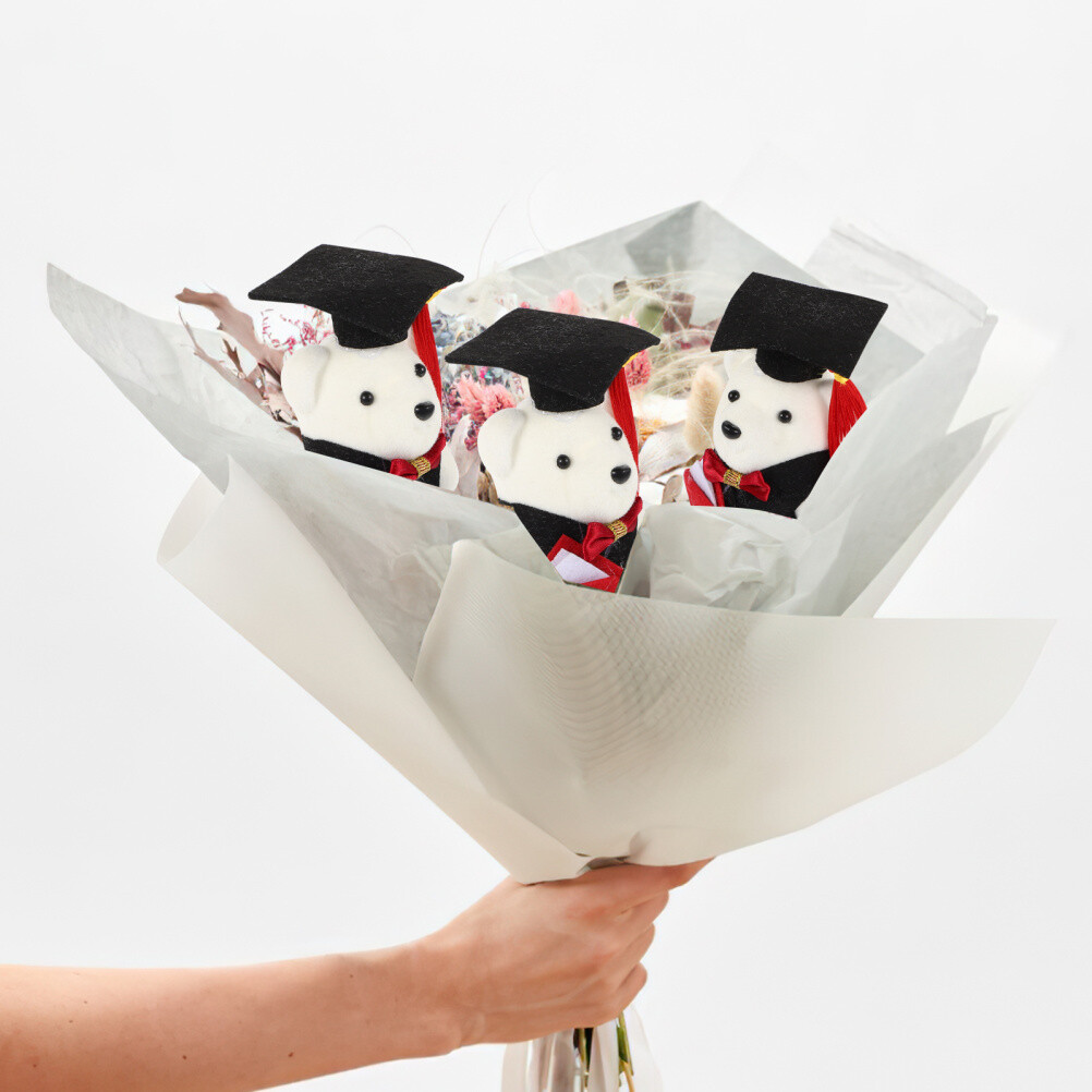 10PCS Graduates Gift Graduation Bear Dolls Plush Stuffed Animal Toys