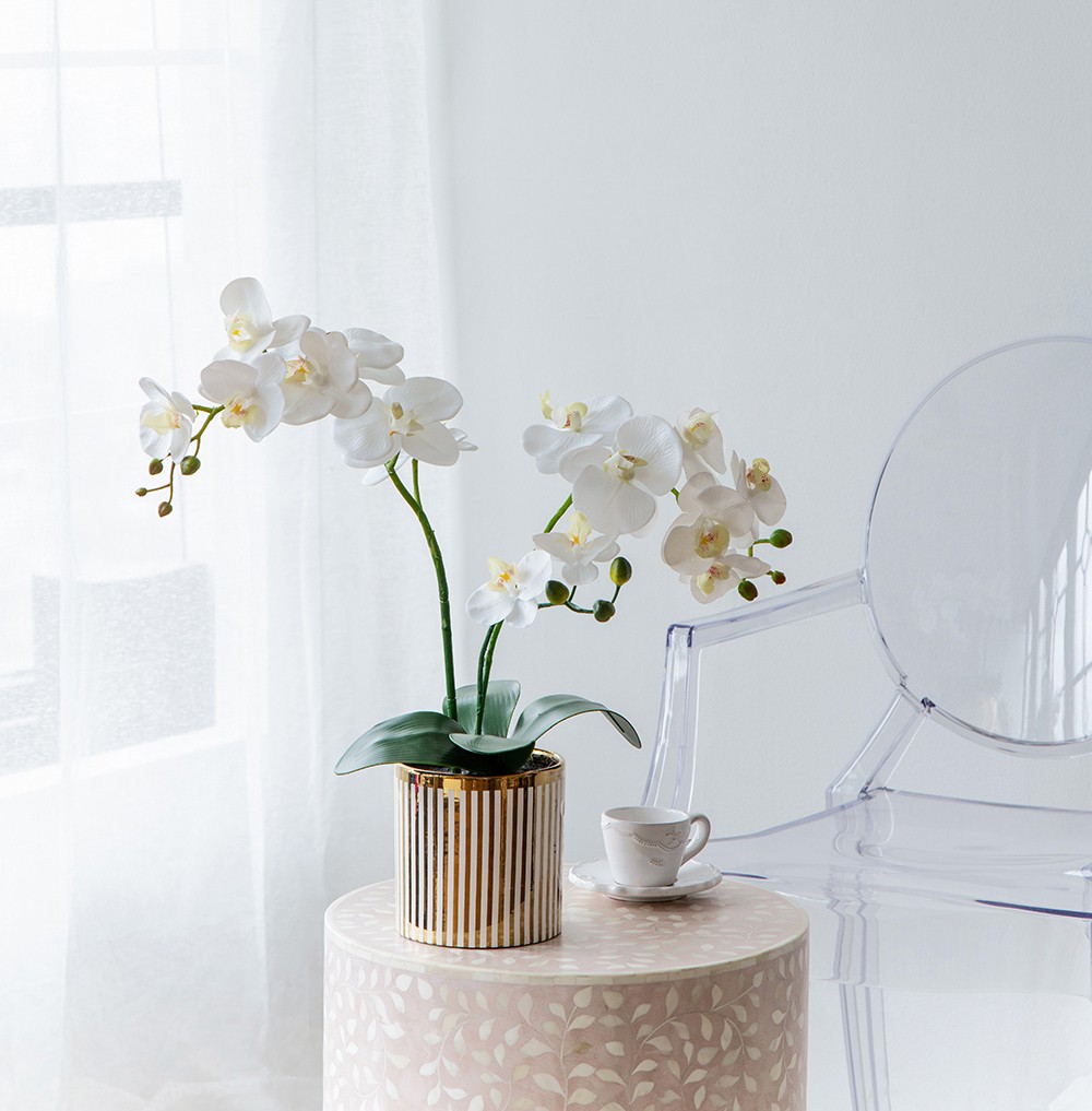 Artificial White Orchid Plant in Gold Striped Pot 20.5″H