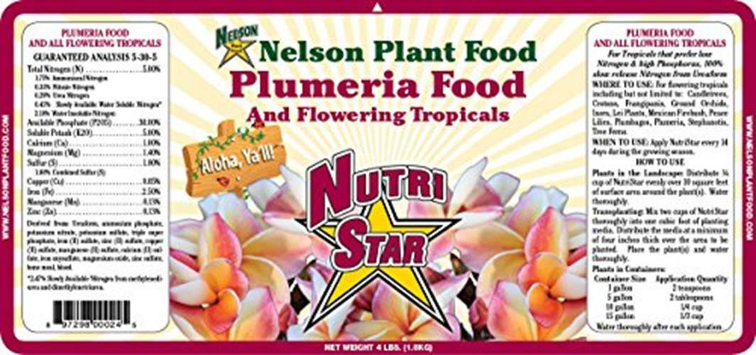 Nelson Plumeria Plant and All Flowering Tropicals Food Ferns Assorted Sizes