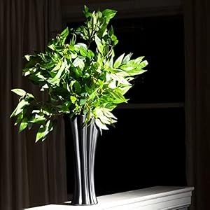 48Pcs Italian Ruscus Greenery Stems Artificial Silk Greenery Leaves for DIY