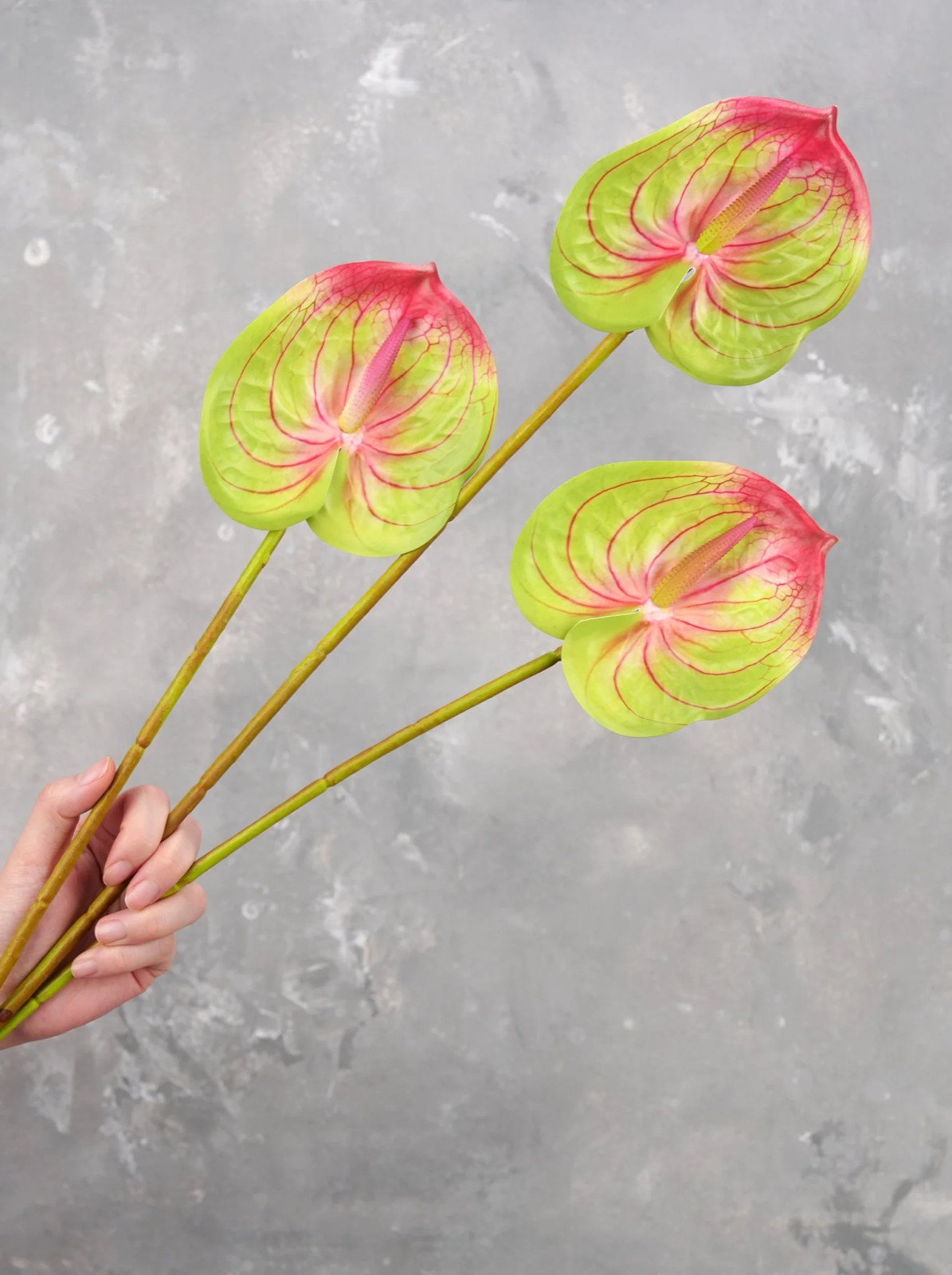 24″ Real Touch Faux Anthurium – Green | Artificial Flower | Decoration