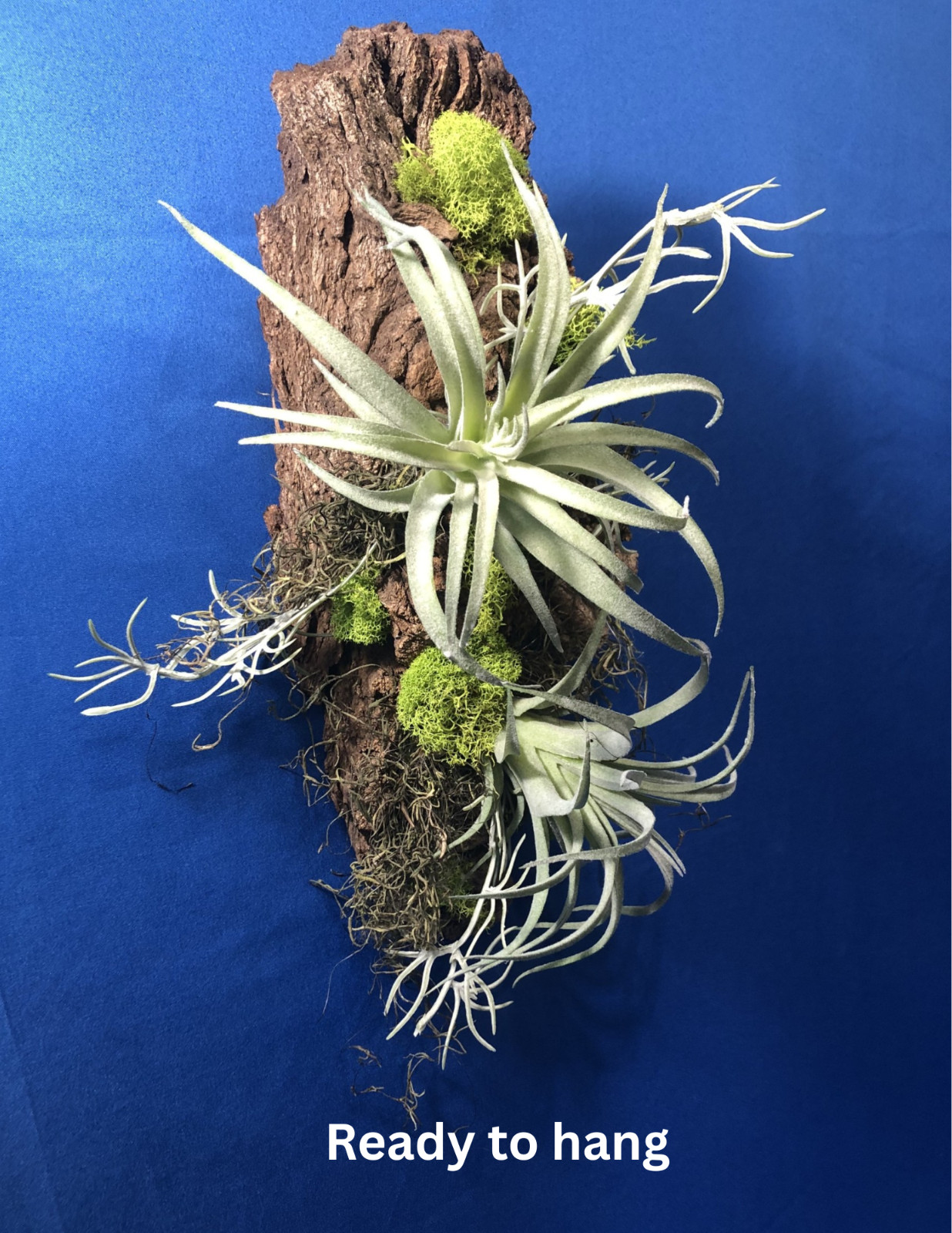 Artificial Succulent Air Plant Wall Art Home Office Mounted on Real Wood Bark