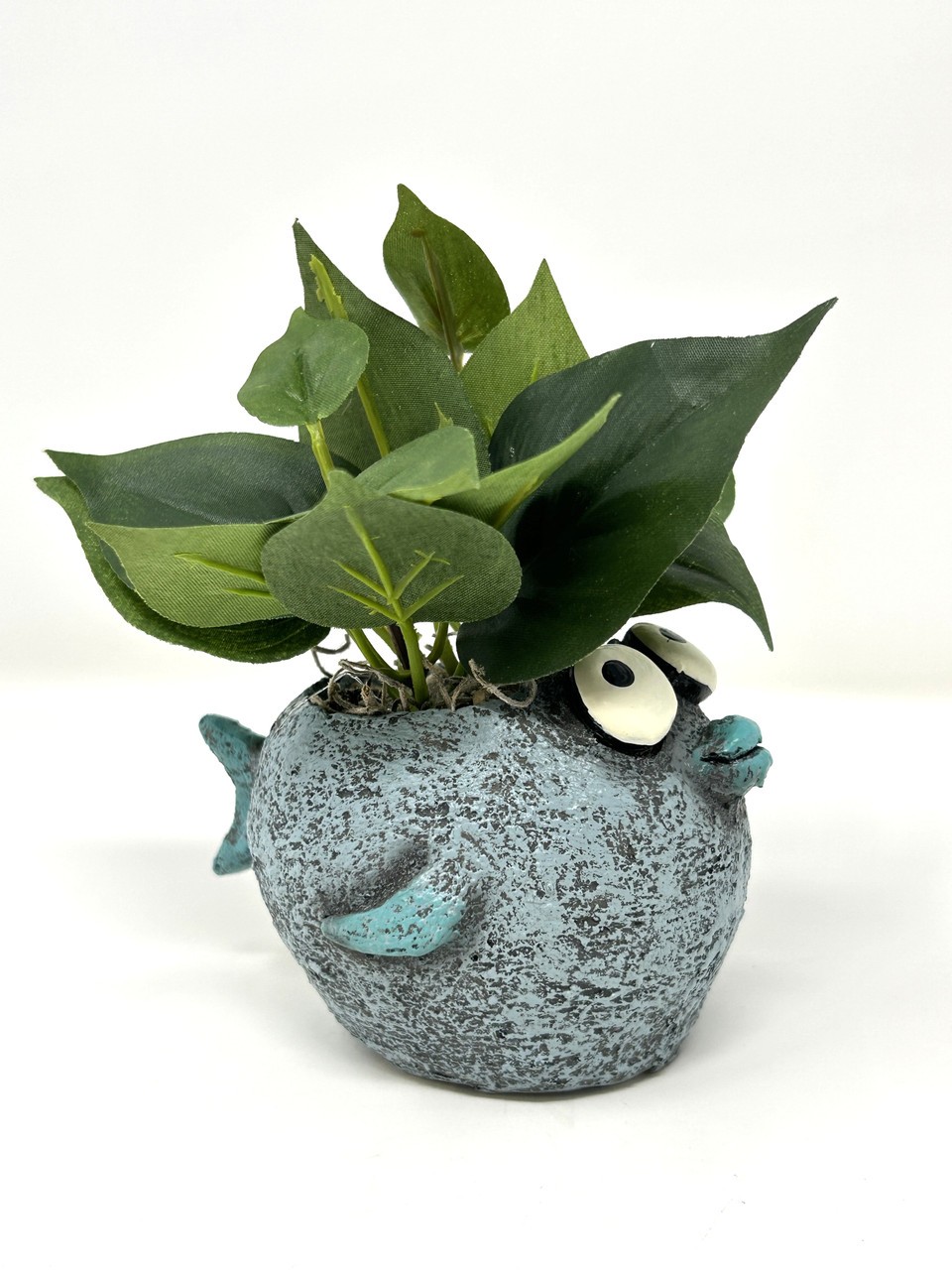 5″ Potted BUBBLES Blue FISH Blob House Mini pot with silk Green Pothos as shown