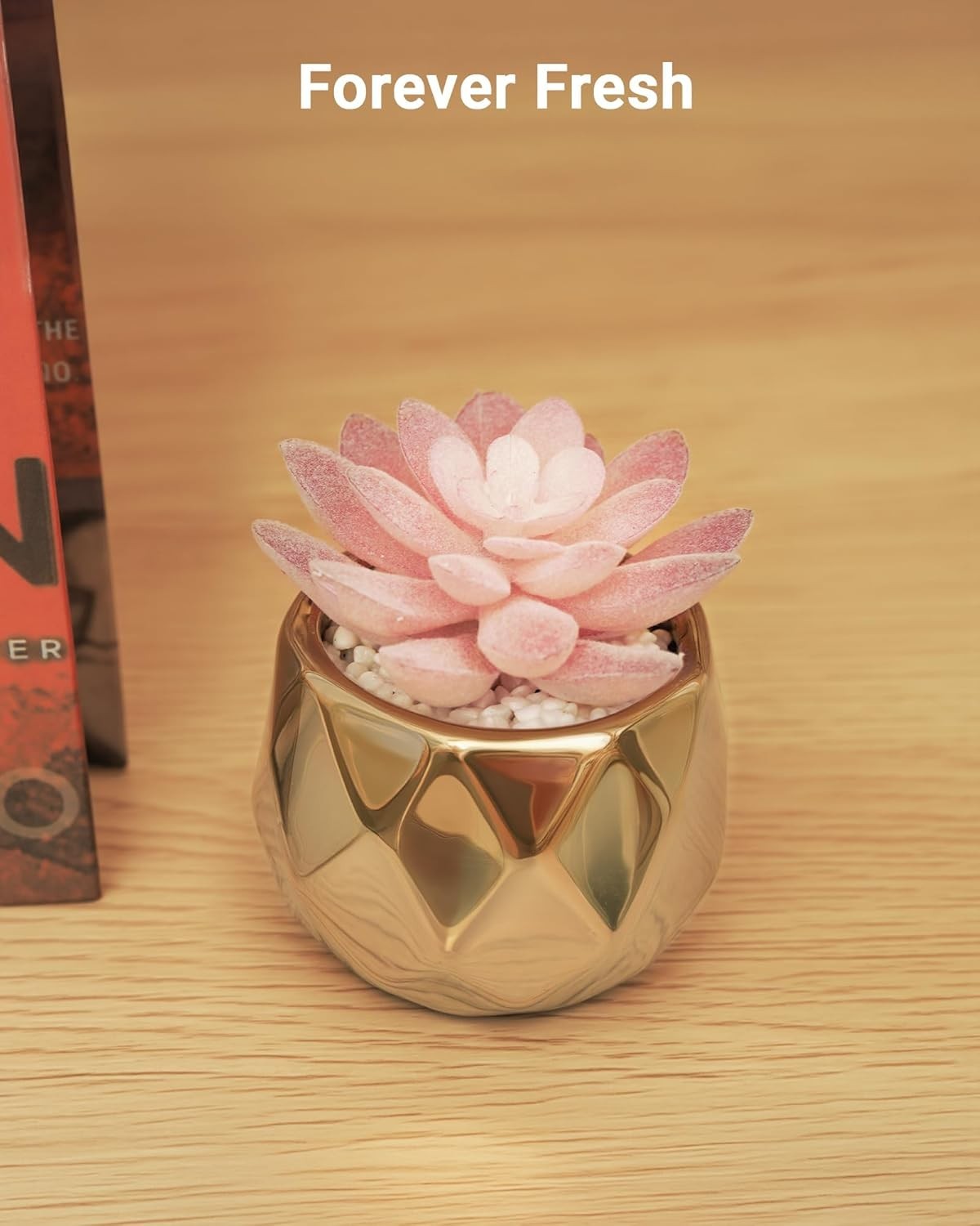 Mini Succulents Plants Artificial in Pots-Pink Succulents with Golden Ceramic…