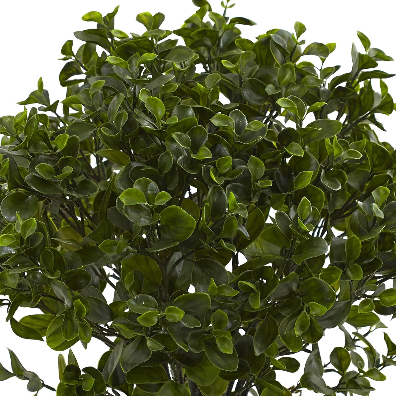 28″ UV Resistant Peperomia Plant for Indoor/Outdoor Decor