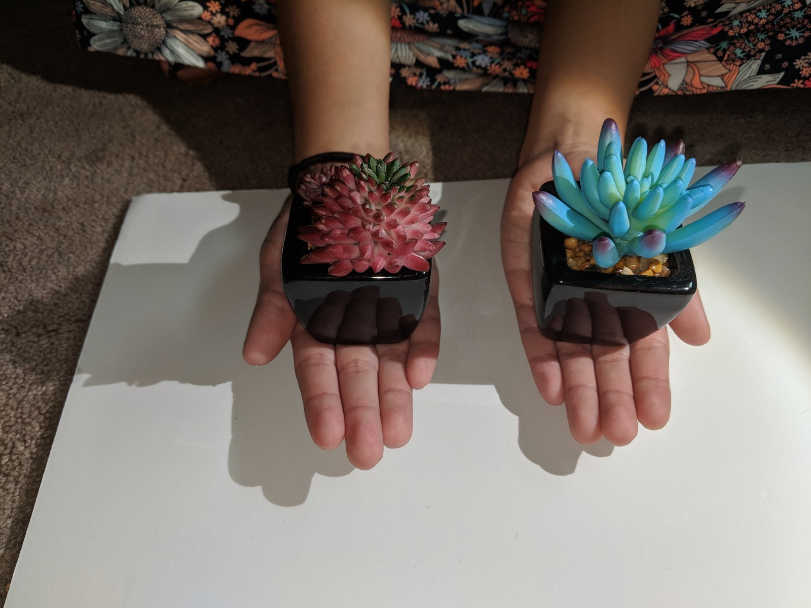 Small Artificial Succulents Black Ceramic Pots 4 PCS