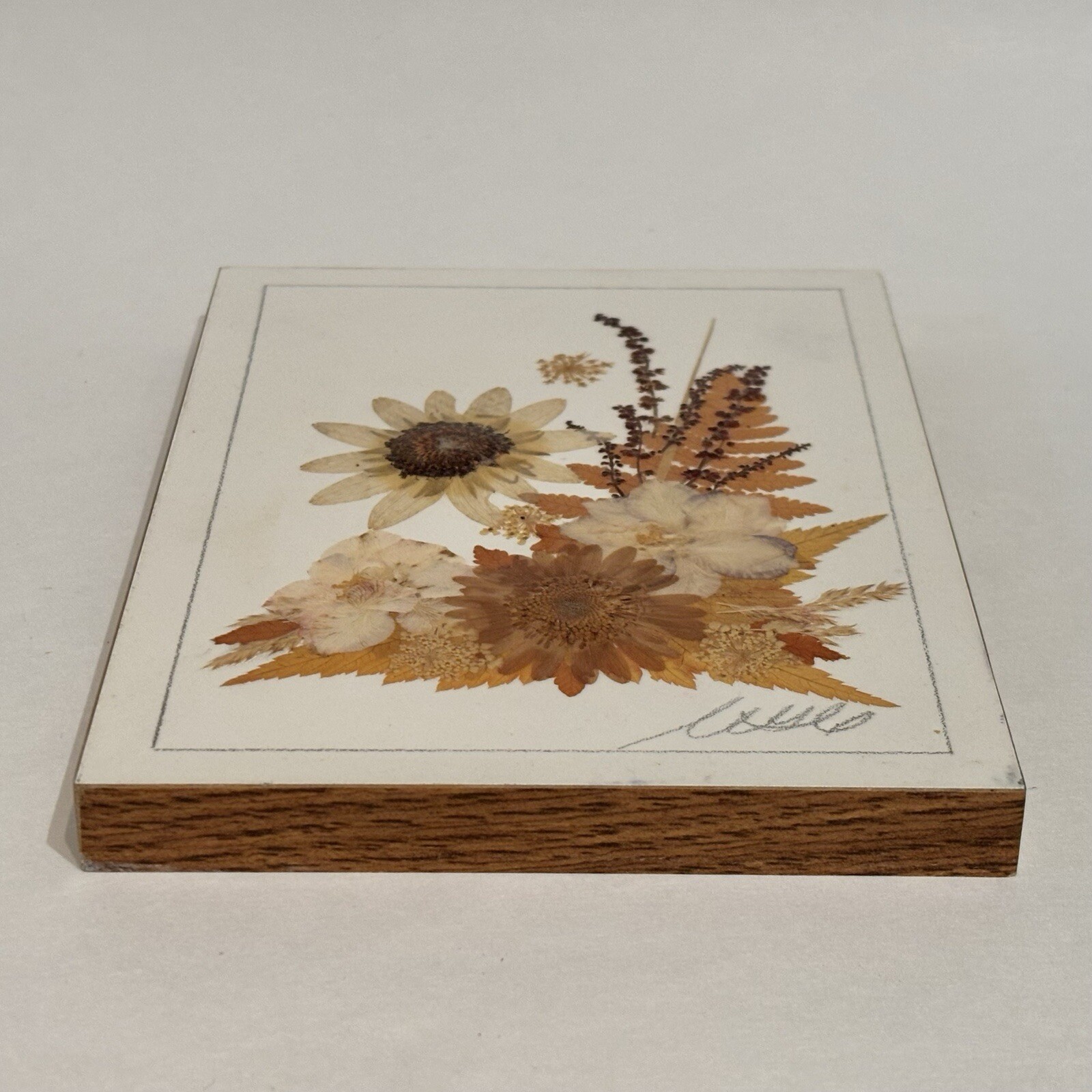 Country Girl Creations Naturally Preserved Flowers Leaves Wall Art Canada 6.5″