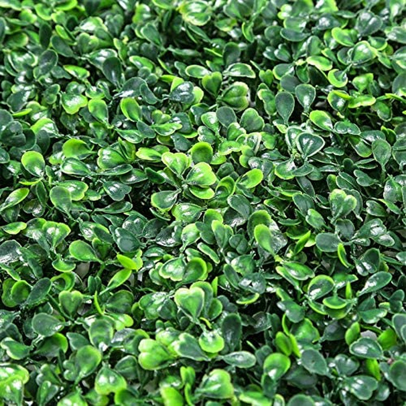 12 Pack 20″x20″ Artificial Boxwood Panels for Privacy & Decor, Indoor/Outdoor