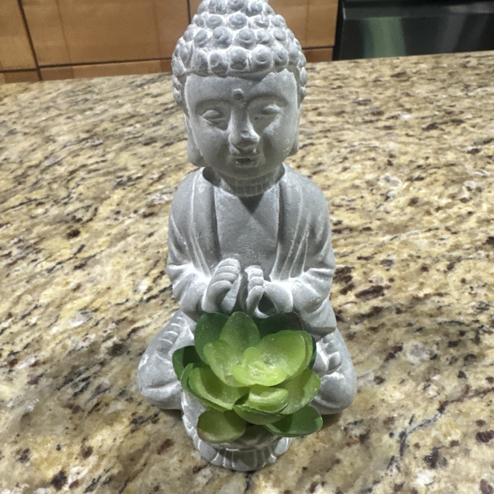 Budduah Plant Holder 6” Tall Succulent, Faux Plant Nice Cpix