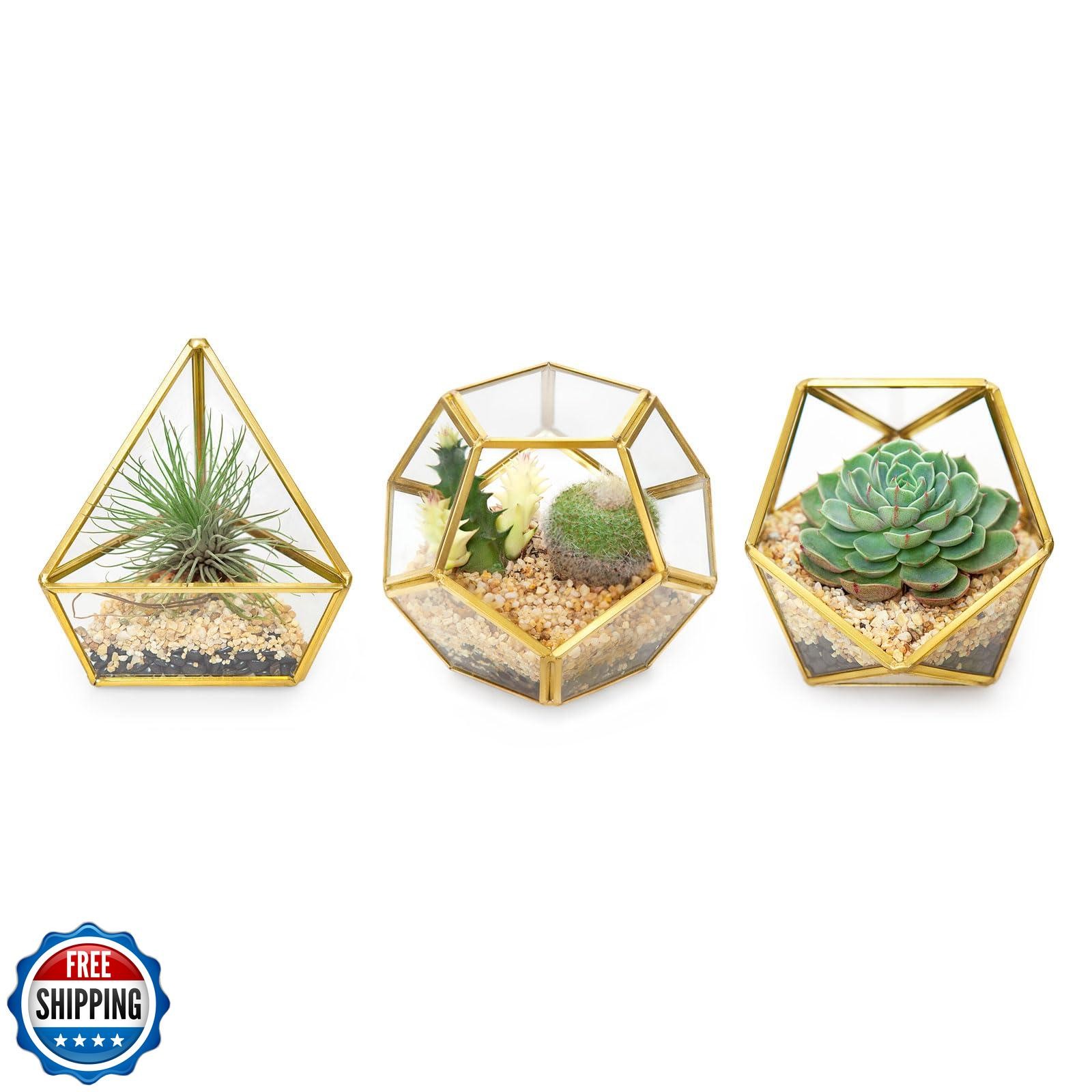 Mkono 4 Inches Mini Glass Geometric Terrarium Container Set of 3