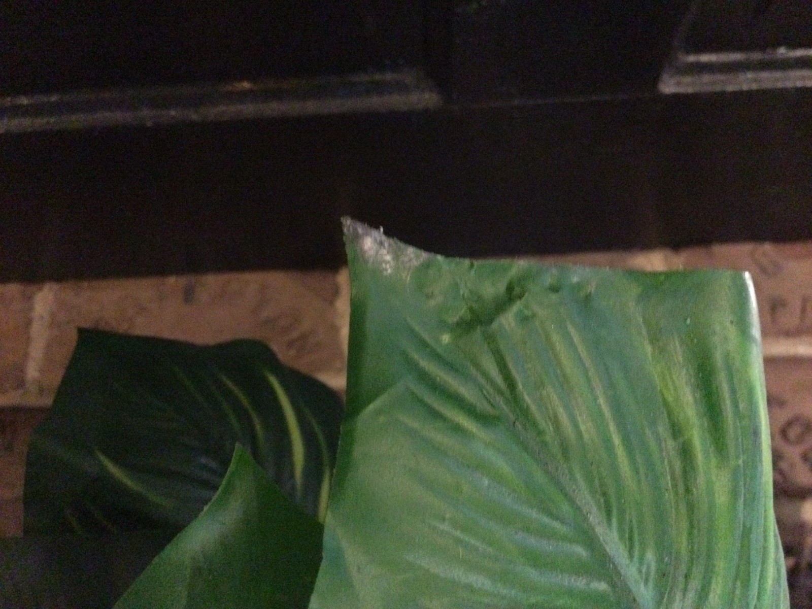 2 Small Artificial Fake Faux Plants➕Pots➕Stones 🌱Monstera➕Apple Leaf 📏16” Tall