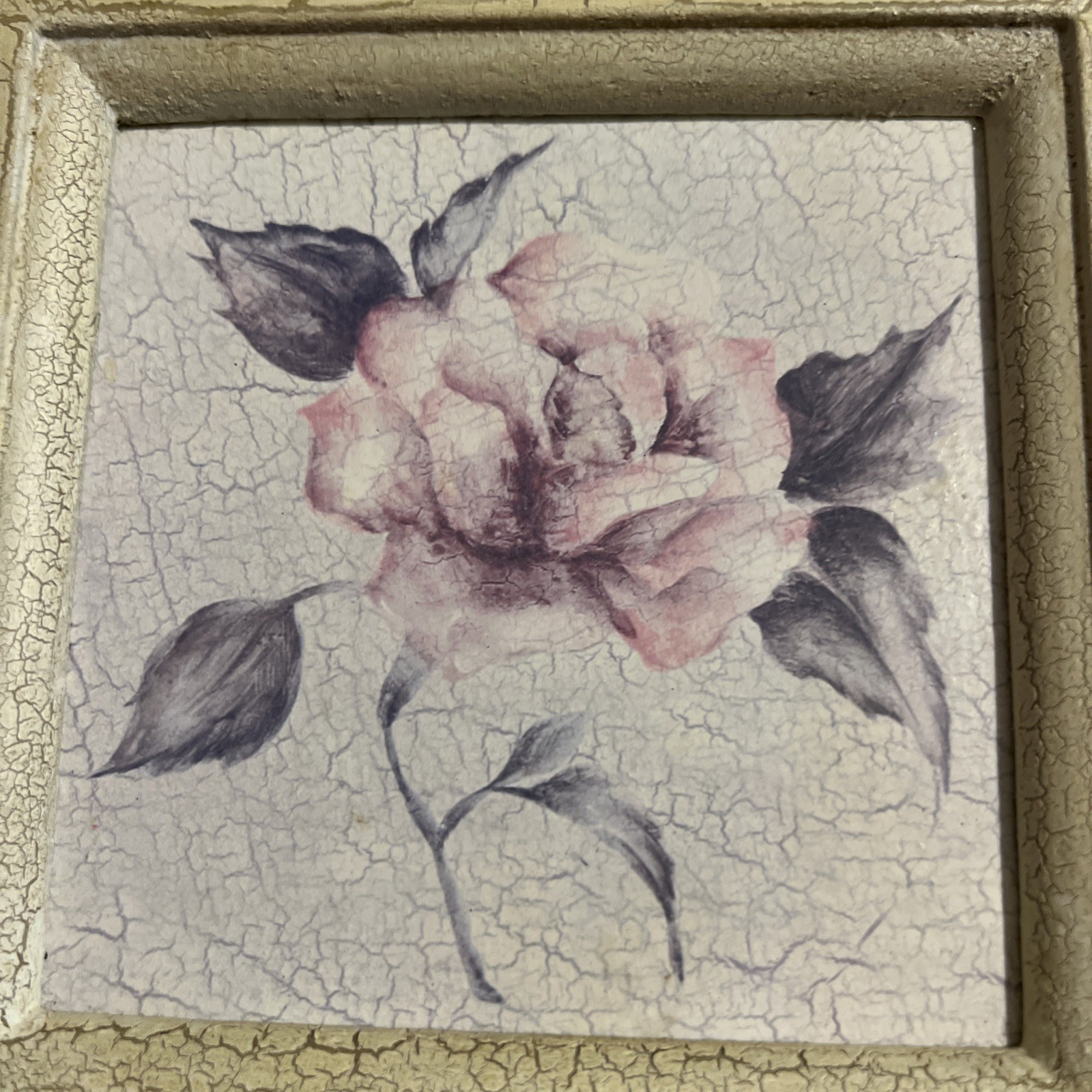 Vintage Flower Wall Art Decor Beige Floral 8x8in Square Flower Prints