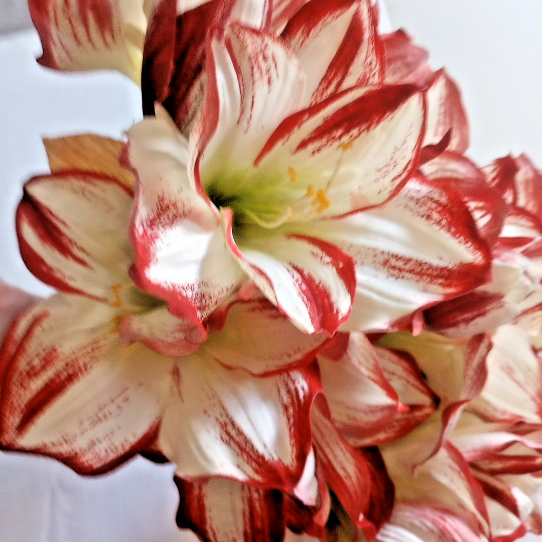 Silk flower Amaryllis Stems 7 Stalks Approximately 29″ Beautiful, Stems AS IS