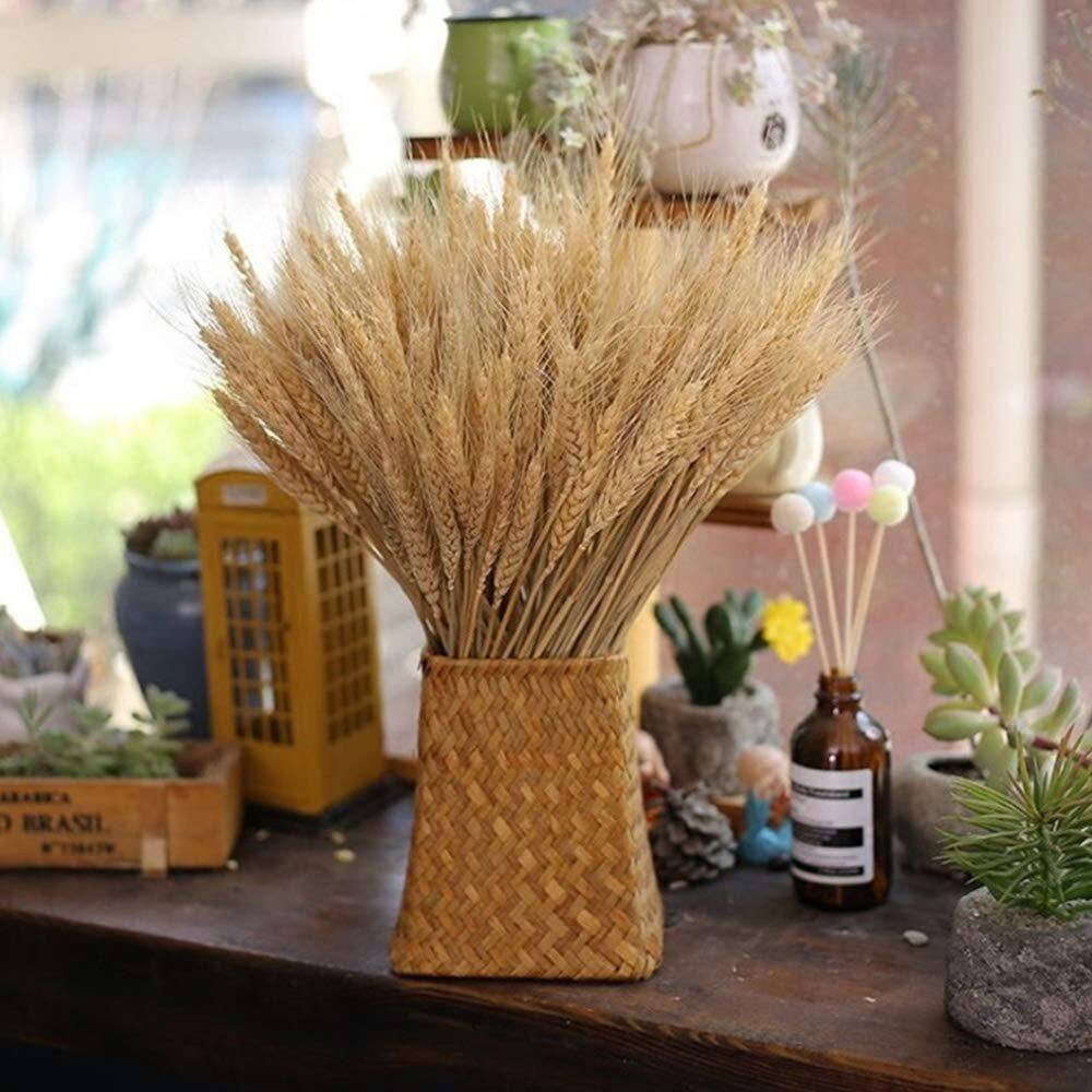 2.48 In. (Set of 100) Natural Dried Wheat Stalks 16 In. Tan Artificial Plant Whe