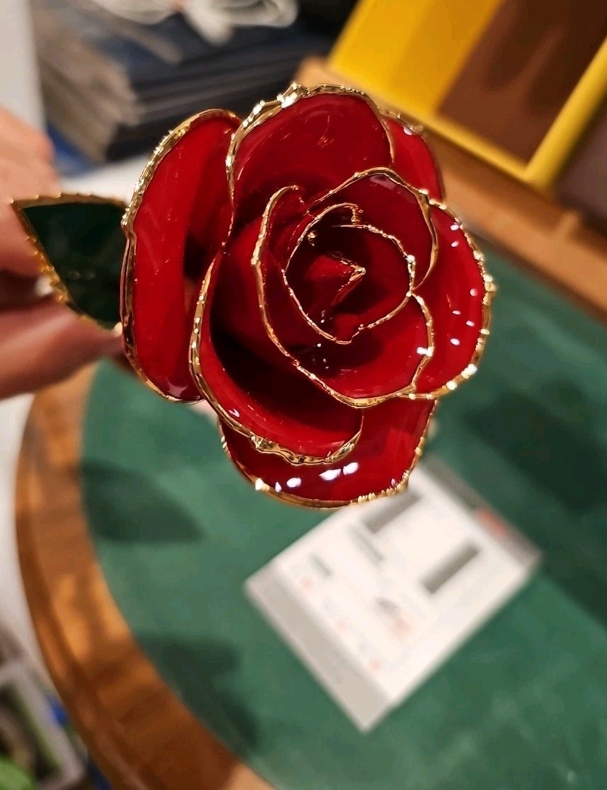 24K Gold Dipped Long Stem Real Rose in Gift Box – Perfect gift for any occasion!