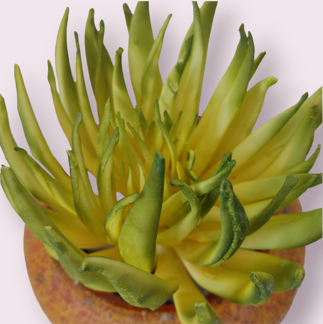 SUPER LIFELIKE ~ 6″ SUCCULENT CACTUS Artificial Plant Unpotted Faux Pick