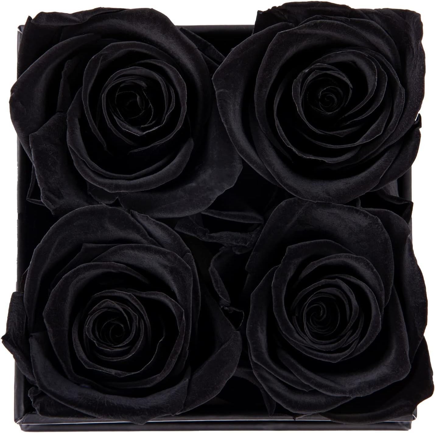 Black Preserved Rose in Elegant Box – Perfect Valentine’s & Birthday Gift