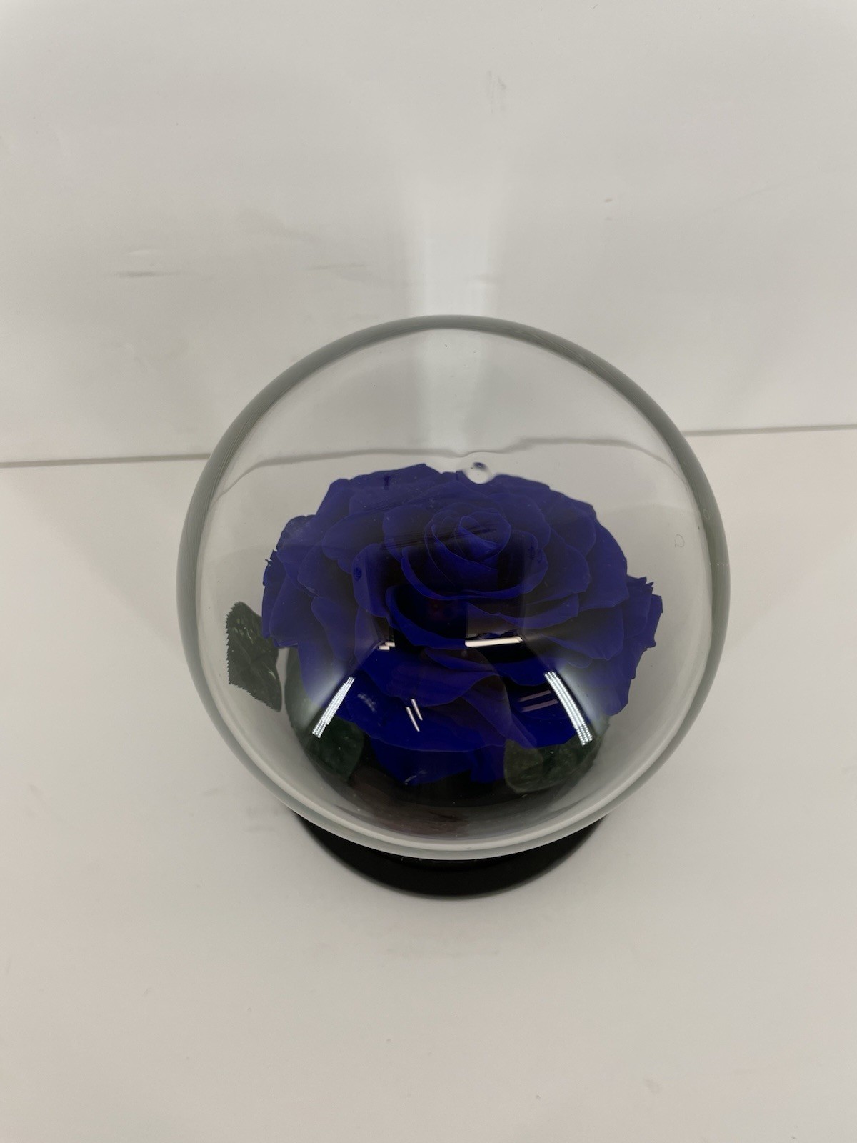 Preserved Rose in Glass Dome Eternal Enchanted Forever Purplish Blue
