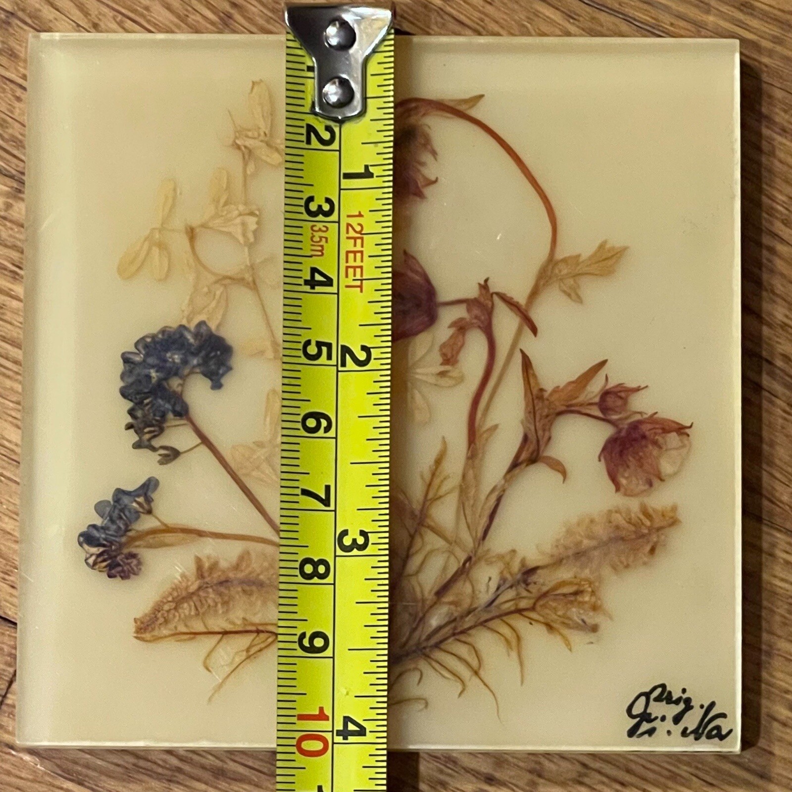 Dina Acrylglass Handmade Natural Dried Flower Germany Bavarian Alps Wall Hanging