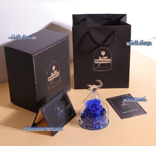 Zodiac Collectible Figurine