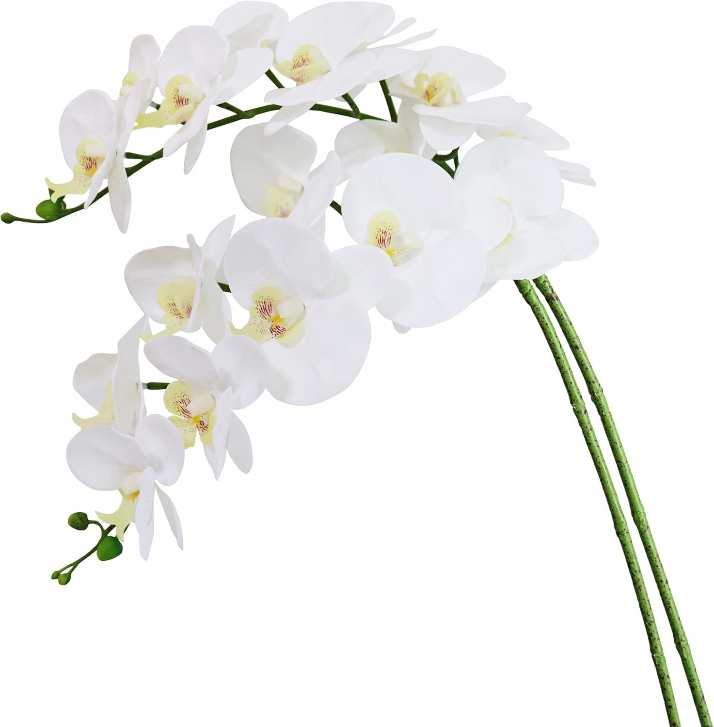 38 Inch Artificial Phalaenopsis Flowers Branches Real Touch (Not Silk) Orchids F