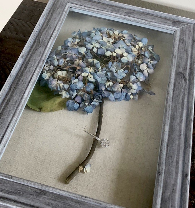 Real dried light blue hydrangea in wood frame 16”H x 10” W