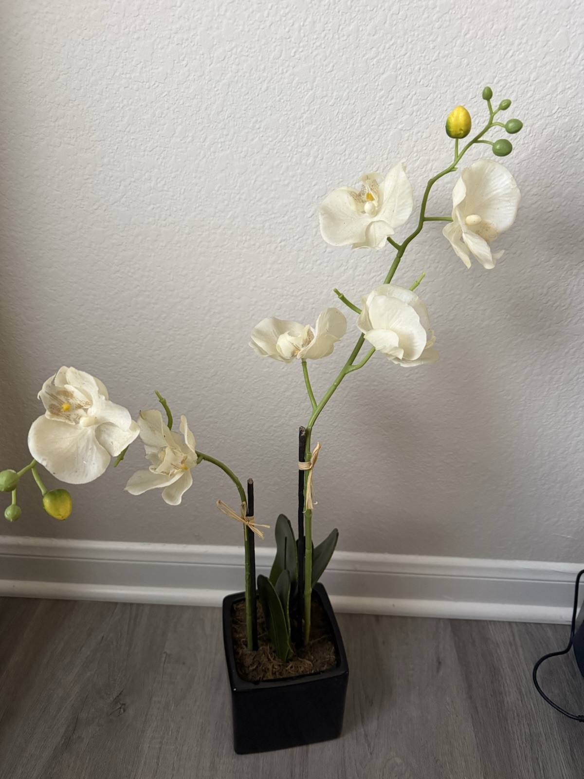 Real Touch White Phalaenopsis Potted Orchid Plant With A Black Ceramic Pot 18”