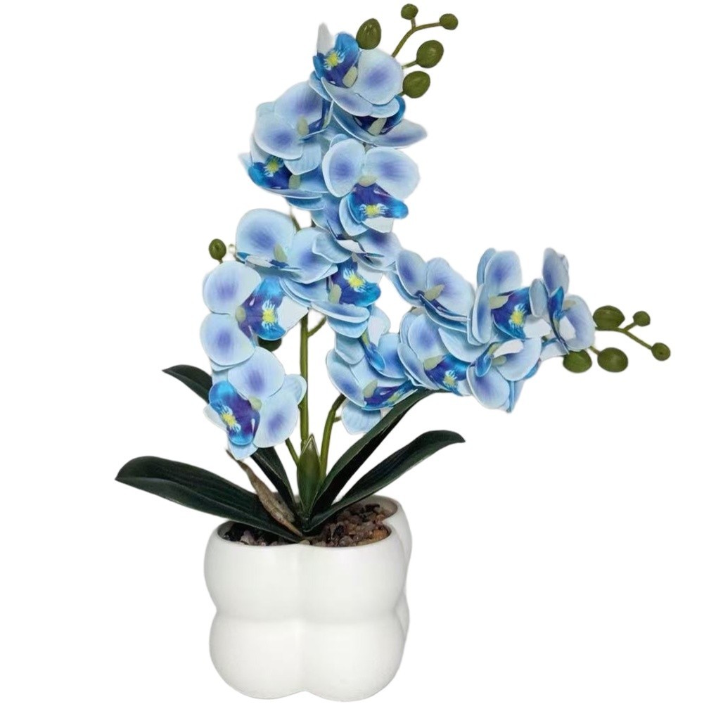 Artificial Orchid Home Decoration Soft Plastic for material Maintenance-free