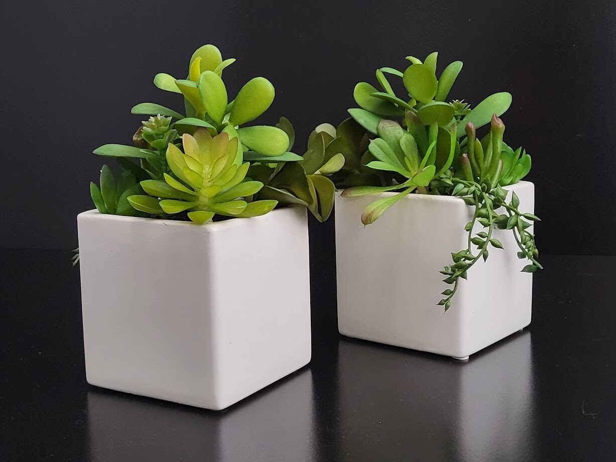 2-Pack Cactus Artificial Succulent Fake Plants Ceramic White Planter Pot 4x4x7