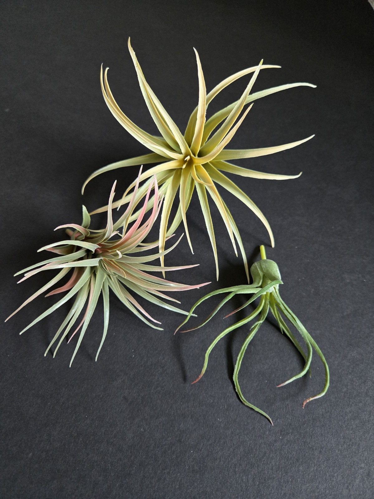 IKEA FEJKA Artificial Plant Set Of 3 Air Plant 805.599.61