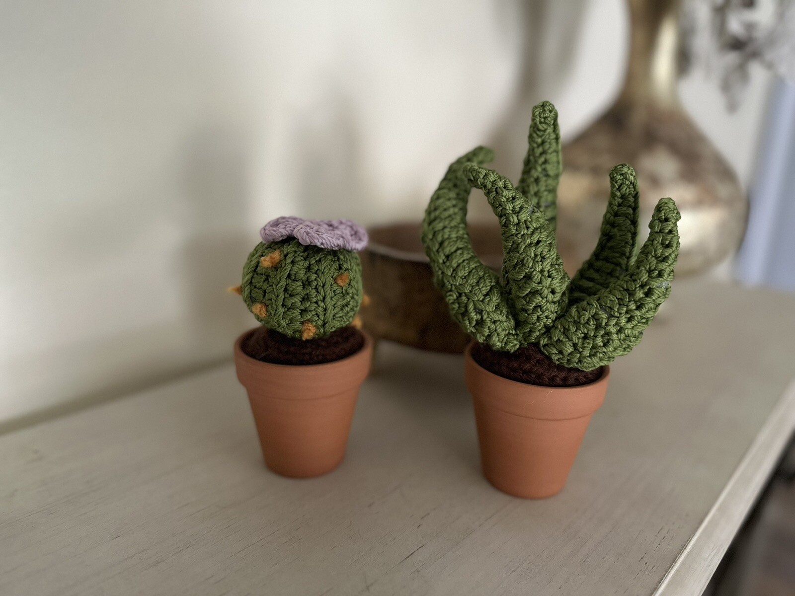 Handmade Crochet Cactus with Flower Decor With Terracotta Pot
