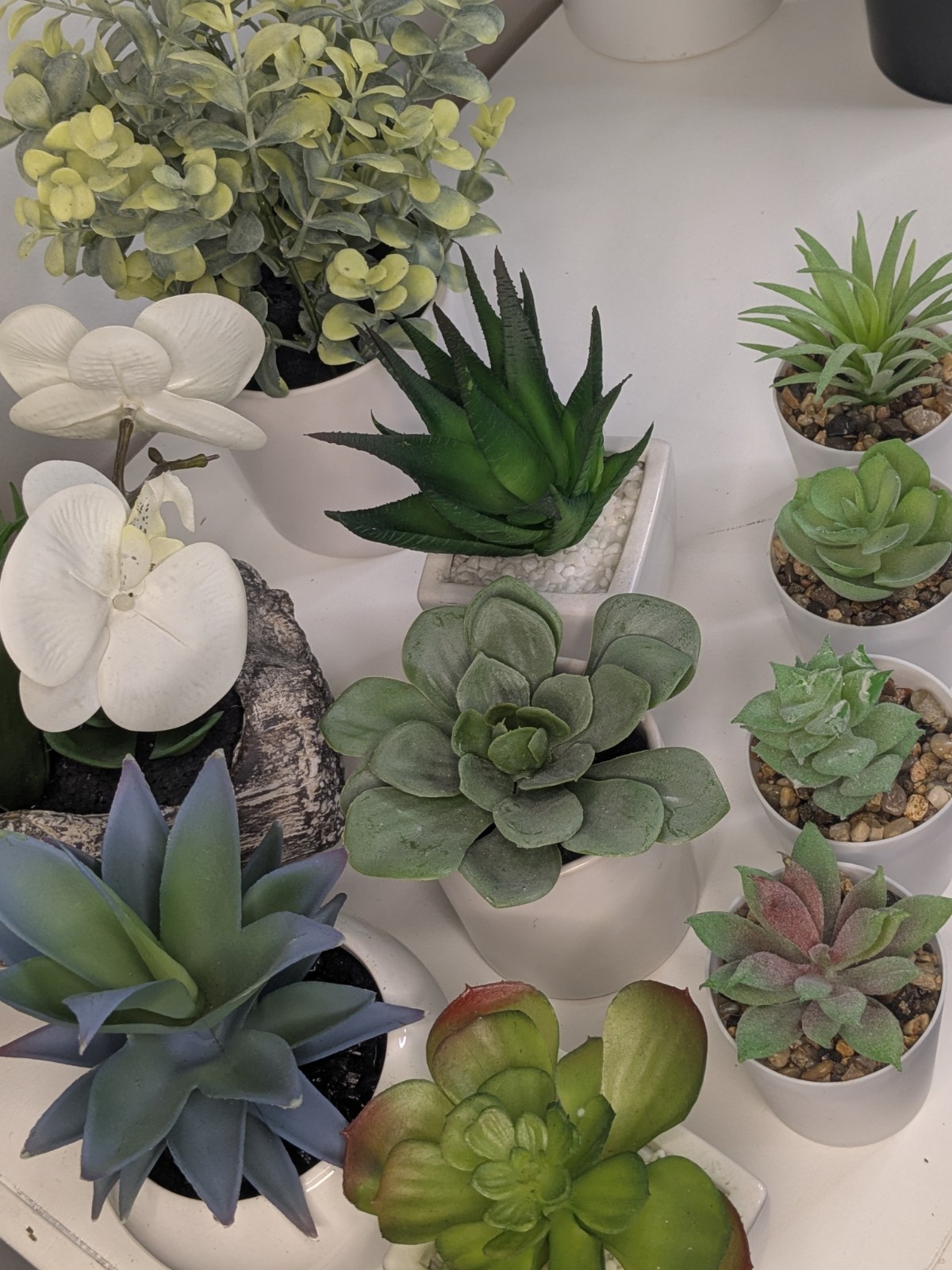 10pc Faux Succulent Plant Lot Artificial Home Office Decor Bundle