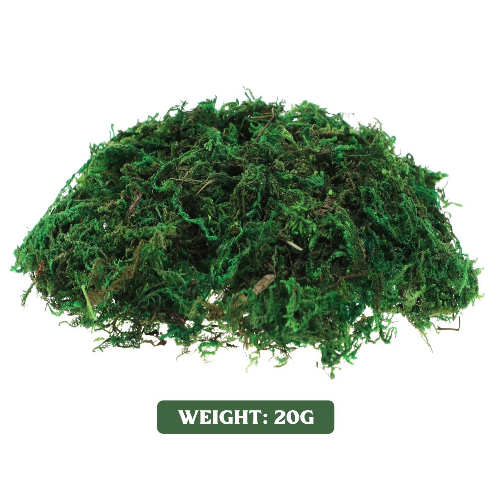 Artifical Moss for Bonsai Artificial Decorative Aftificial Green