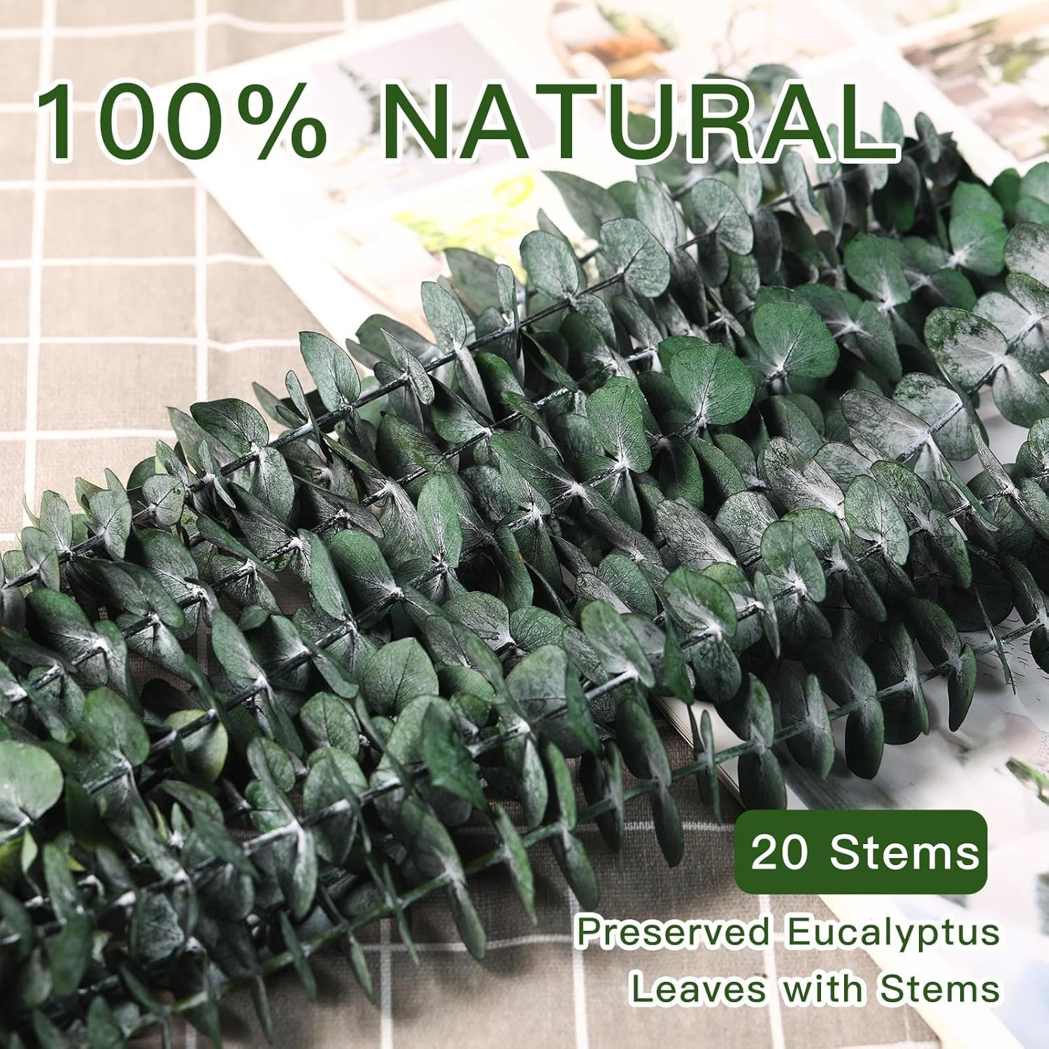 20 Pcs Dried Eucalyptus Stems, 17” Natural Real Live Greenery Eucalyptus Leaves